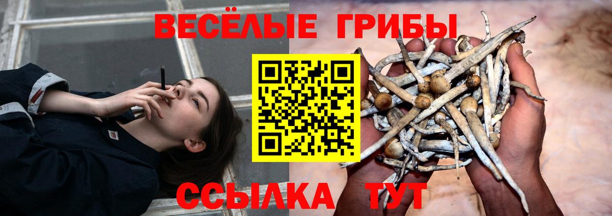 Псилоцибиновые грибы ЛСД Алапаевск