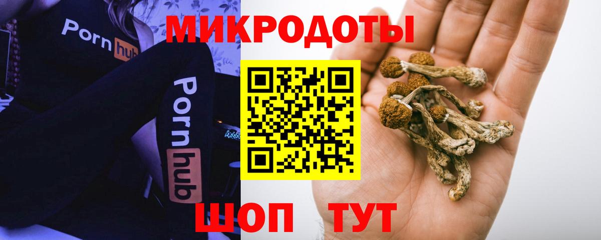 Алапаевск  Галлюциногенные грибы ЛСД  Вход с VPN 